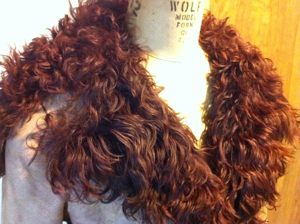 Close-up of a curly reddish-brown shearling collar growing straight off the edge of grey suede