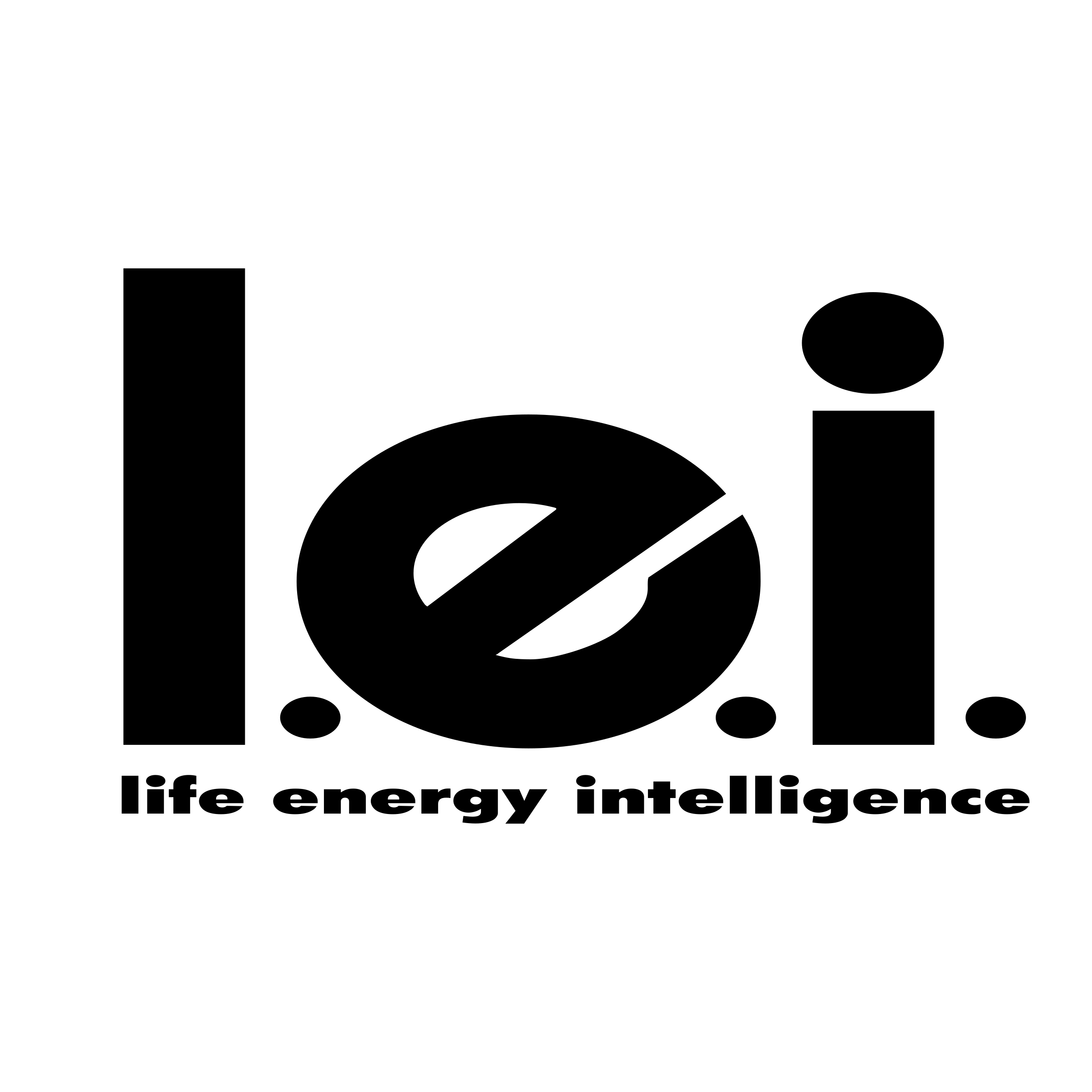 l.e.i.